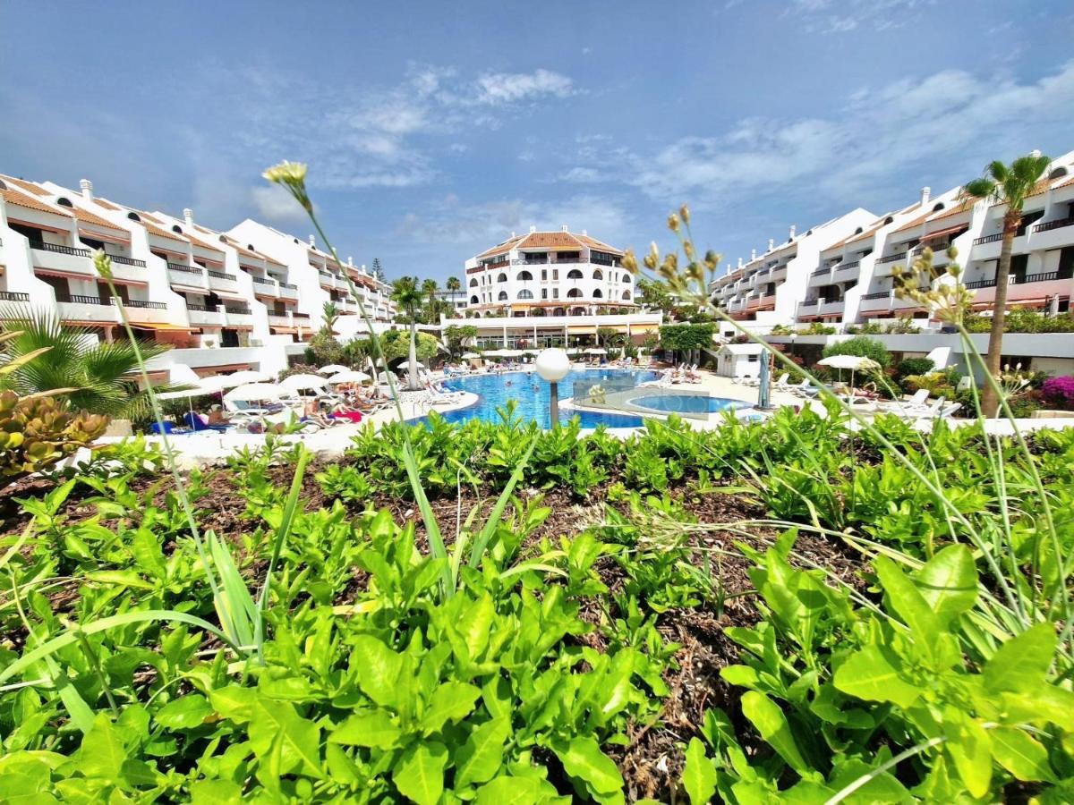 Parque Santiago 1 F-348 By Tenerife Dream Properties ปลายาเดลาสอเมริกาส ภายนอก รูปภาพ